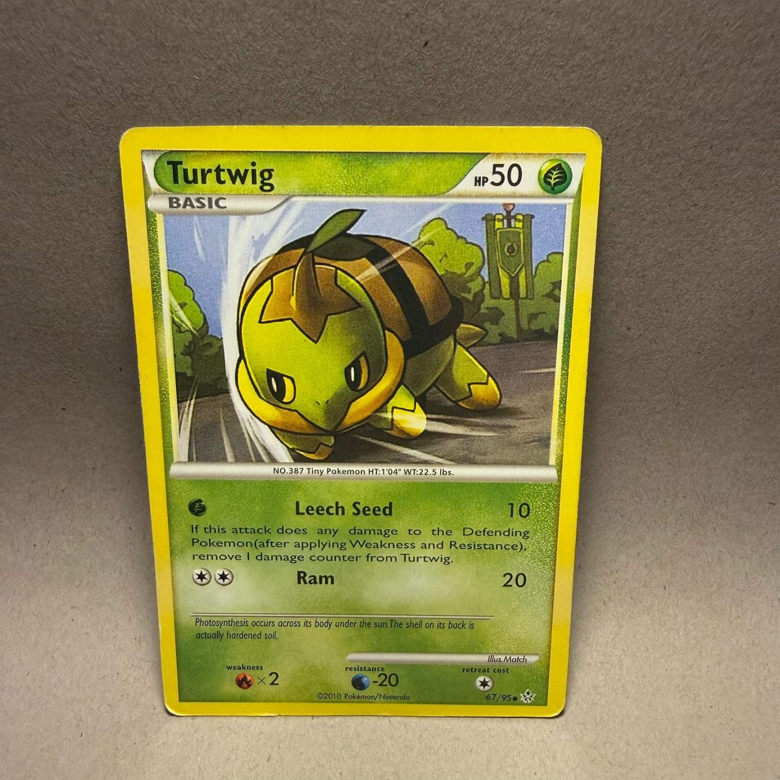 TURTWIG 67/95 HGSS UNLEASHED COMMON LP