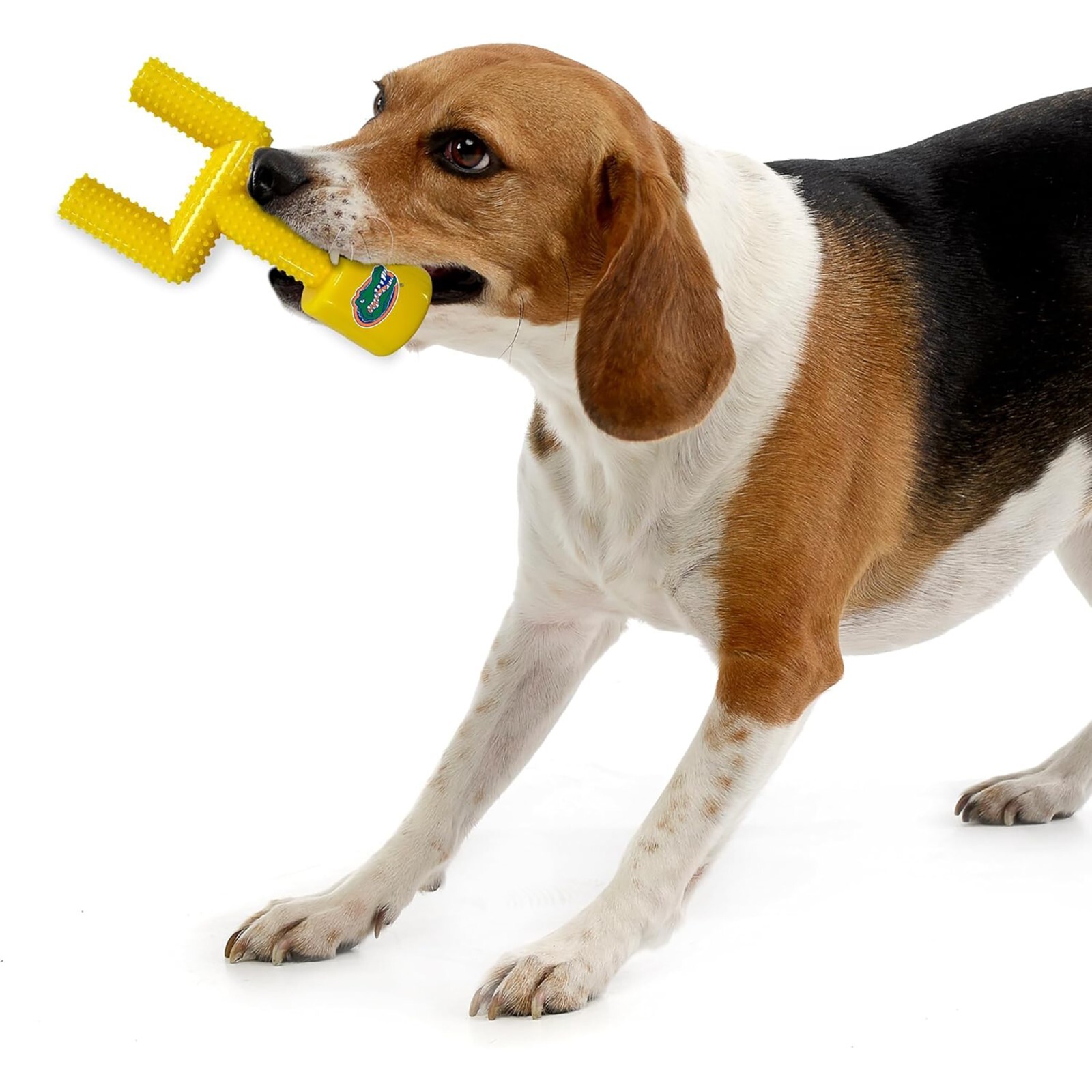 Pets First NCAA Mega-Chew Hard Nylon Dog Toy Goal-Post Chew Toy with Flavor