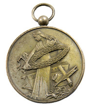 Netherlands looped publisher Medal (02886)