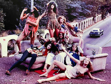 BEAUTIFUL PAMELA DES BARRES 8X10 Photo