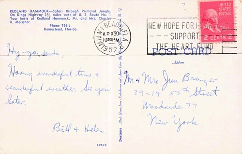 Redland Hammock Safari Homestead, Florida Vintage PC Posted 1952 - Picture 2 of 2