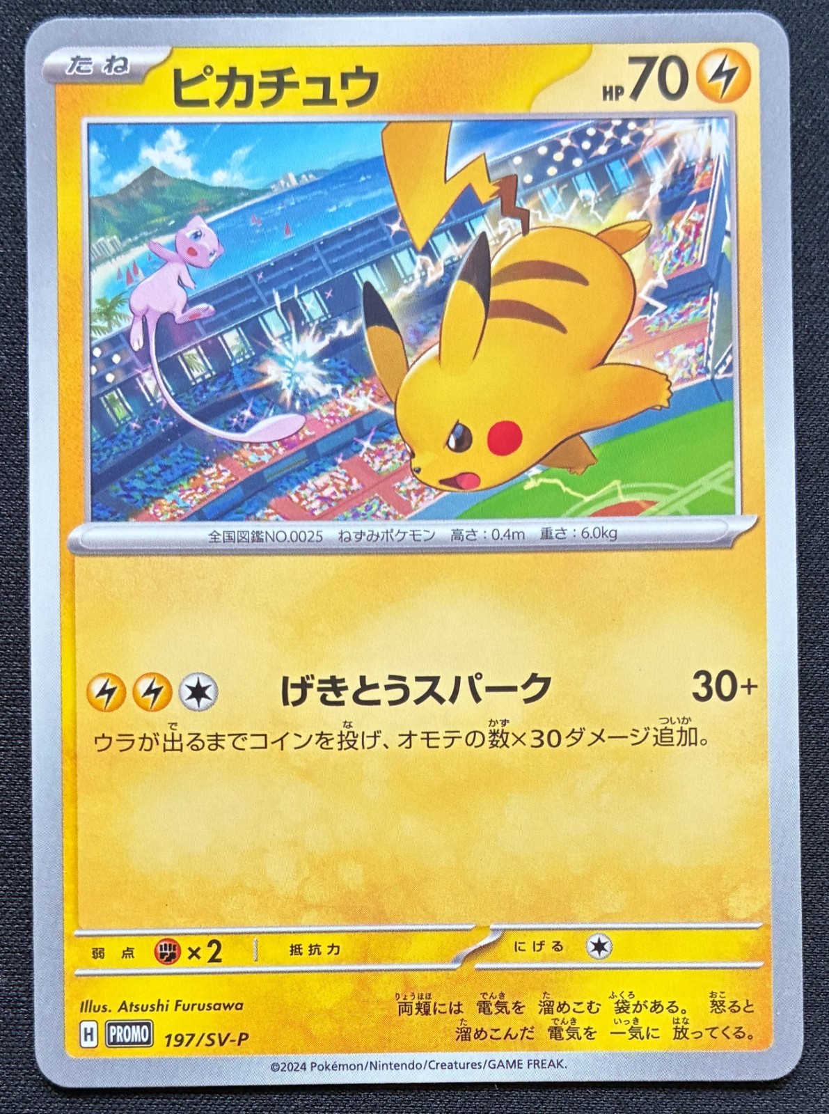 Pikachu 197/SV-P Gym Event Campaign Japanese Pokemon