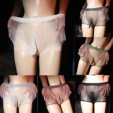 Men's Comfort Fit Shiny Mesh Underwear Boxer Briefs in Multiple Colors