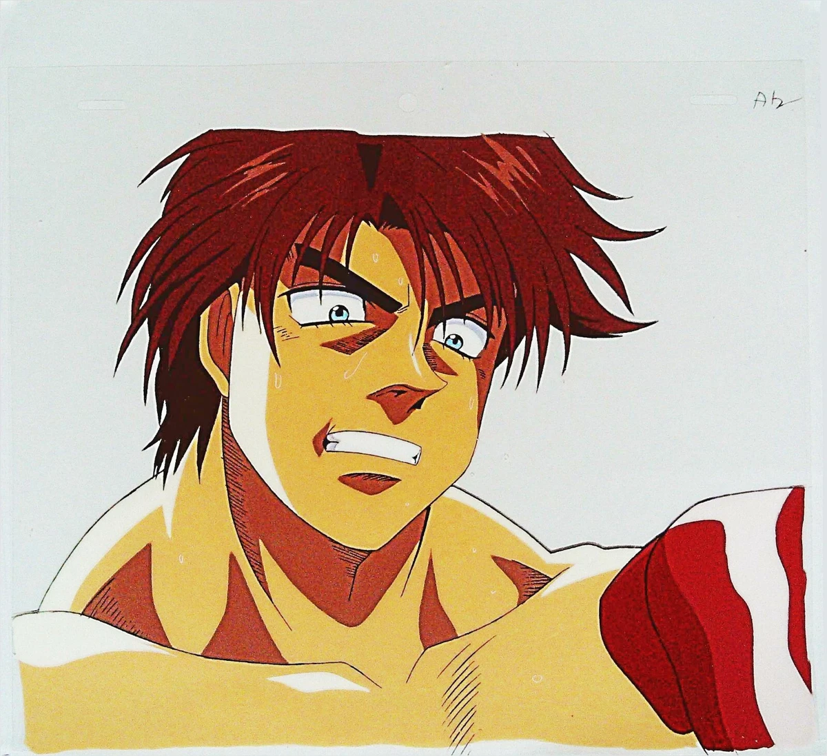 Hajime No Ippo Anime Paint By Numbers - Numeral Paint Kit