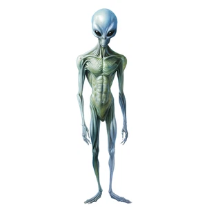 Aliens UFO Space Alien Life Star World Self Adhesive Warning Sticker