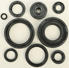 Vertex 822221 Oil Seal Set