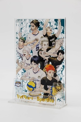 Sportiva 2025 Magazin Japan Ran Takahashi Haikyu visuelles Buch Acrylständer neu - Bild 5 von 8