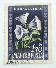 kmtstamps Hungary 1950 Flowers set Sc# 906-10 NH Used Postage Stamp