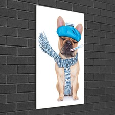 Tulup Glass Print Wall Art 50x100 - Ill dog