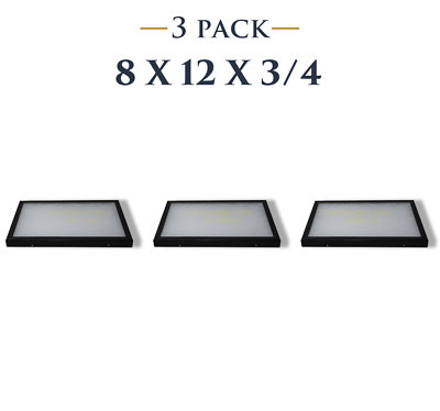 3 Pack of 8 x 12 x 3/4 Riker Display Cases Boxes for Collectibles Jewelry & More