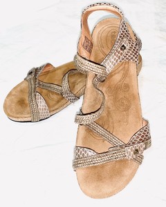 taos ziggie wedge sandal