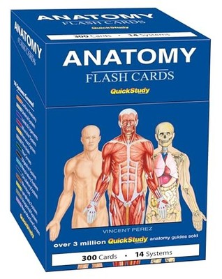 QuickStudy - Anatomy Flash Cards 300 Cards Vincent  Perez - book - F84z