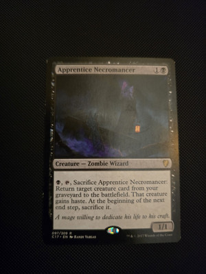 MTG Apprentice Necromancer, Commander 2017, LP