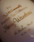 Dandburry mint, Merry Wonderer 1993  — photo 5