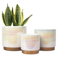 3 Pack White Indoor Pots for Plants Ceramic Planter Drainage Hole Pearl Glaze