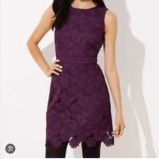 NWT LOFT Aubergine Scalloped Lace Dress, Size 4