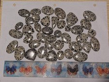 40pcs Bulk Wholesale Polished Dalmatian Jasper Cabochons Cabs Black And White