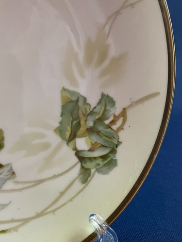 Antique Erdmann Schlegelmilch porcelain hand painted plate Suhl Prussia c.1861+ - Picture 4 of 6