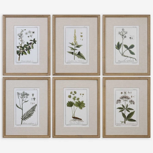 Botanical Study Leaf Berry Flower Wall Art Gold Frame Set Of 6 ~ Uttermost 33651 - Picture 2 of 11