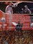 Imagen 4 de 9