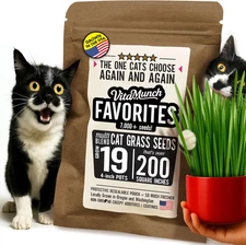 Cat Grass Seed Favorites Non-Gmo Wild Native Blend Chosen by Most Kitties+Grows
