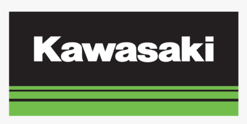 Matrícula frontal OVNI Kawasaki KX250F 2004-2008 blanca 3763 047 - Imagen 2 de 6
