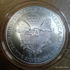 1 oz Fine Silver Coin USD American Silver Eagle Bullion  - NO RESERVE AUCTION