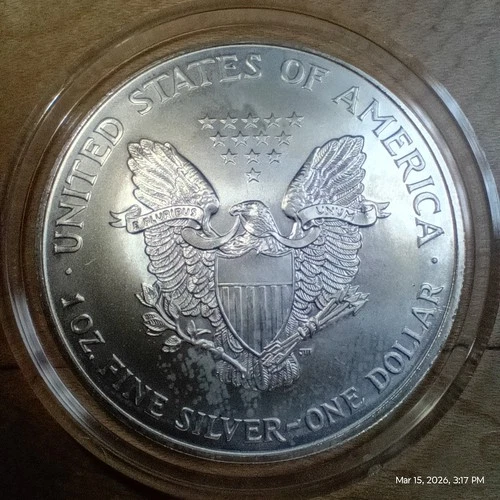 1 oz Fine Silver Coin USD American Silver Eagle Bullion  - NO RESERVE AUCTION