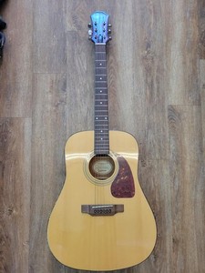 Epiphone PR 150 | eBay