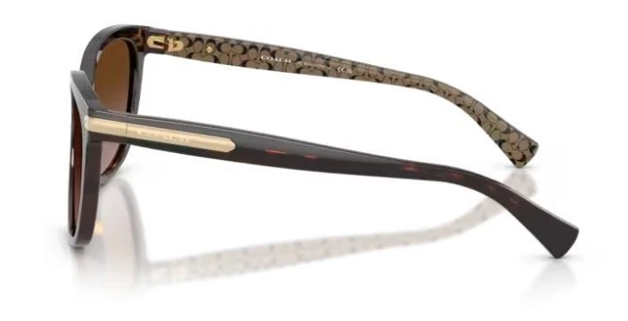 Gafas de sol Coach 0HC8132 529113 57 mm tortuga oscura Foto 2 de 4