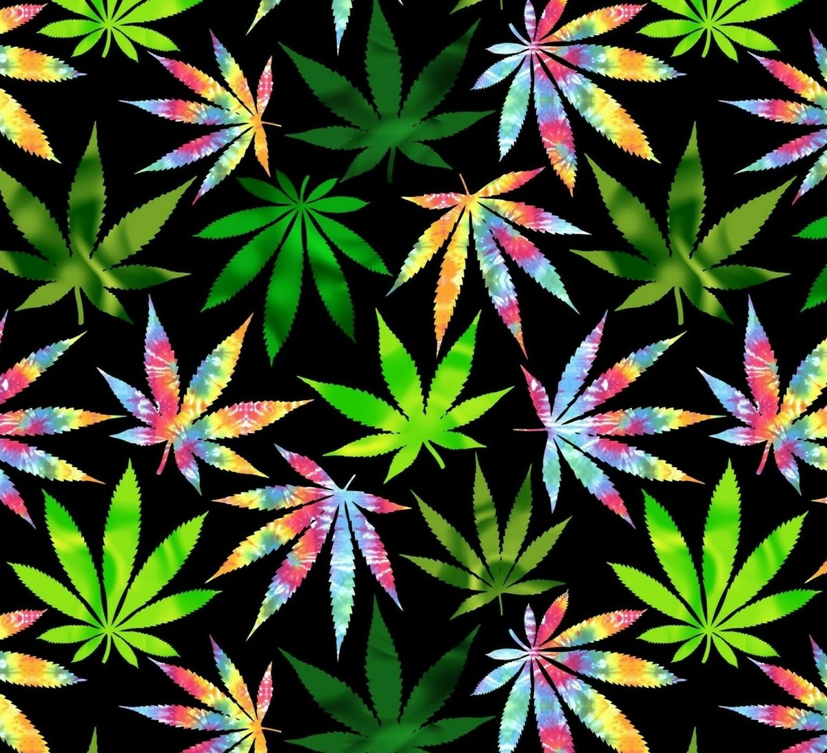 Calze Erba Cannabis Ganja – Fantasia Foglia Di Marijuana – Colorate – Taglia 6-11 – Confezione Multipla