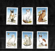 Comoros 1998 - Cats - Set of 6 Stamps - Scott #817-22 - MNH