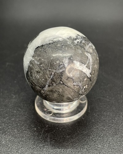 Polished Crinoid Fossil Crystal Sphere Fossilized Crinoid Ball 1.378” - Picture 12 of 12
