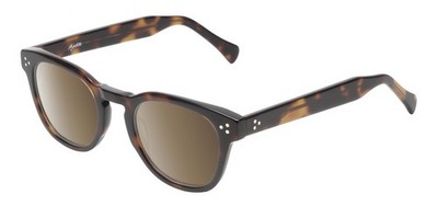 Reptile Chelidae Non-Polarized Sunglasses Tortoise Havana/Brown Gradient Sunnies