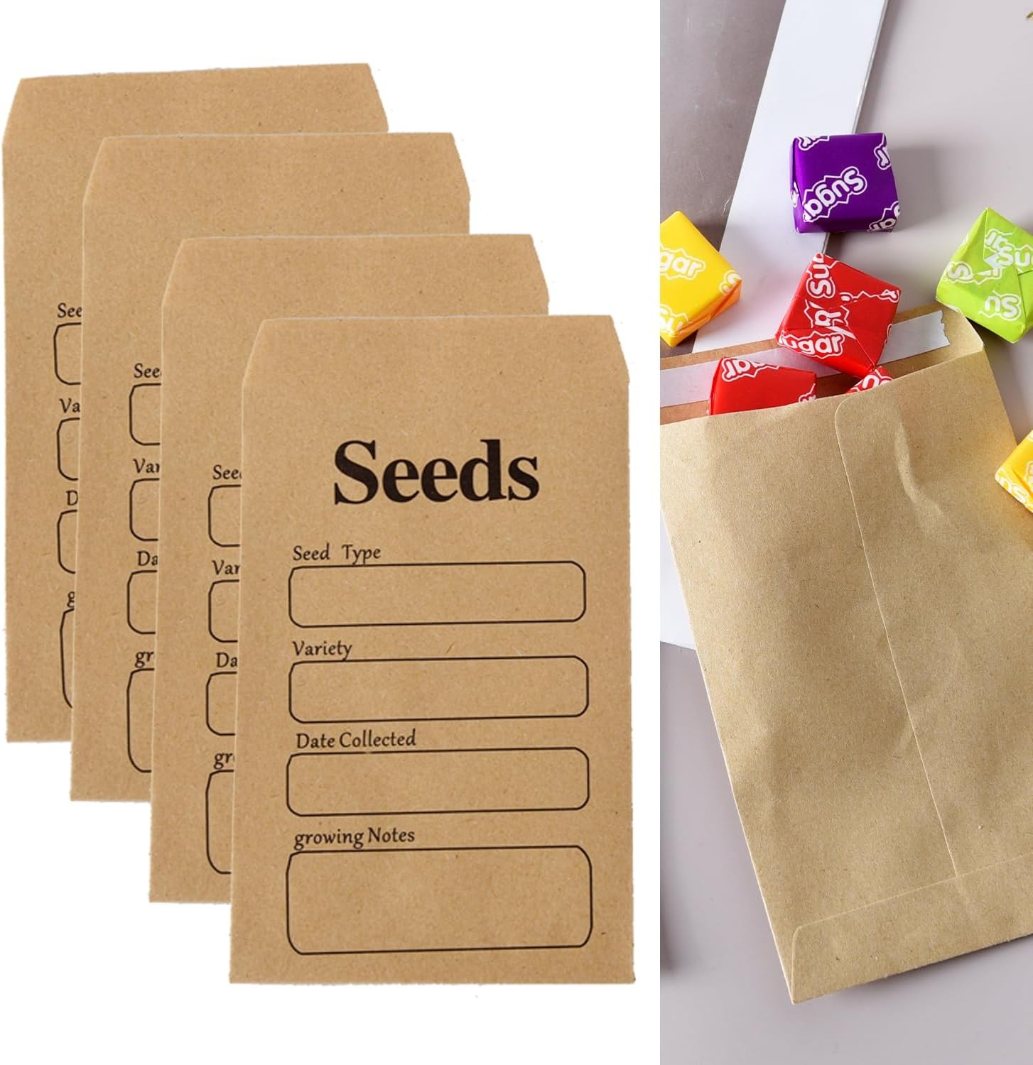Small Brown Seed Envelopes - 40 PCS Paper Packets for Saving and Collecting wit