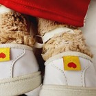 Foto 6 di 7