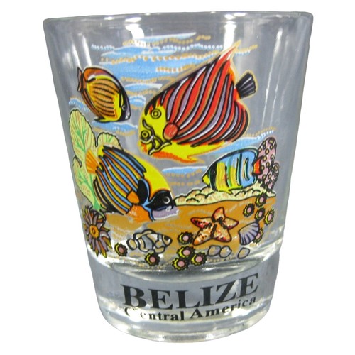 Belize Shot Glass Tropical Fish Clear Glass Souvenir Central America