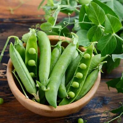 BACK TO NATURE SEED COMPANY Alaska Peas - Seeds - Non Gmo - Heirloom Seeds – Pea Seeds - Grow Your Own Food