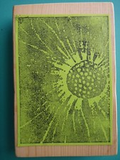 Sunflower Blossom Center, Large Rubber Stamp - Self Mounted
