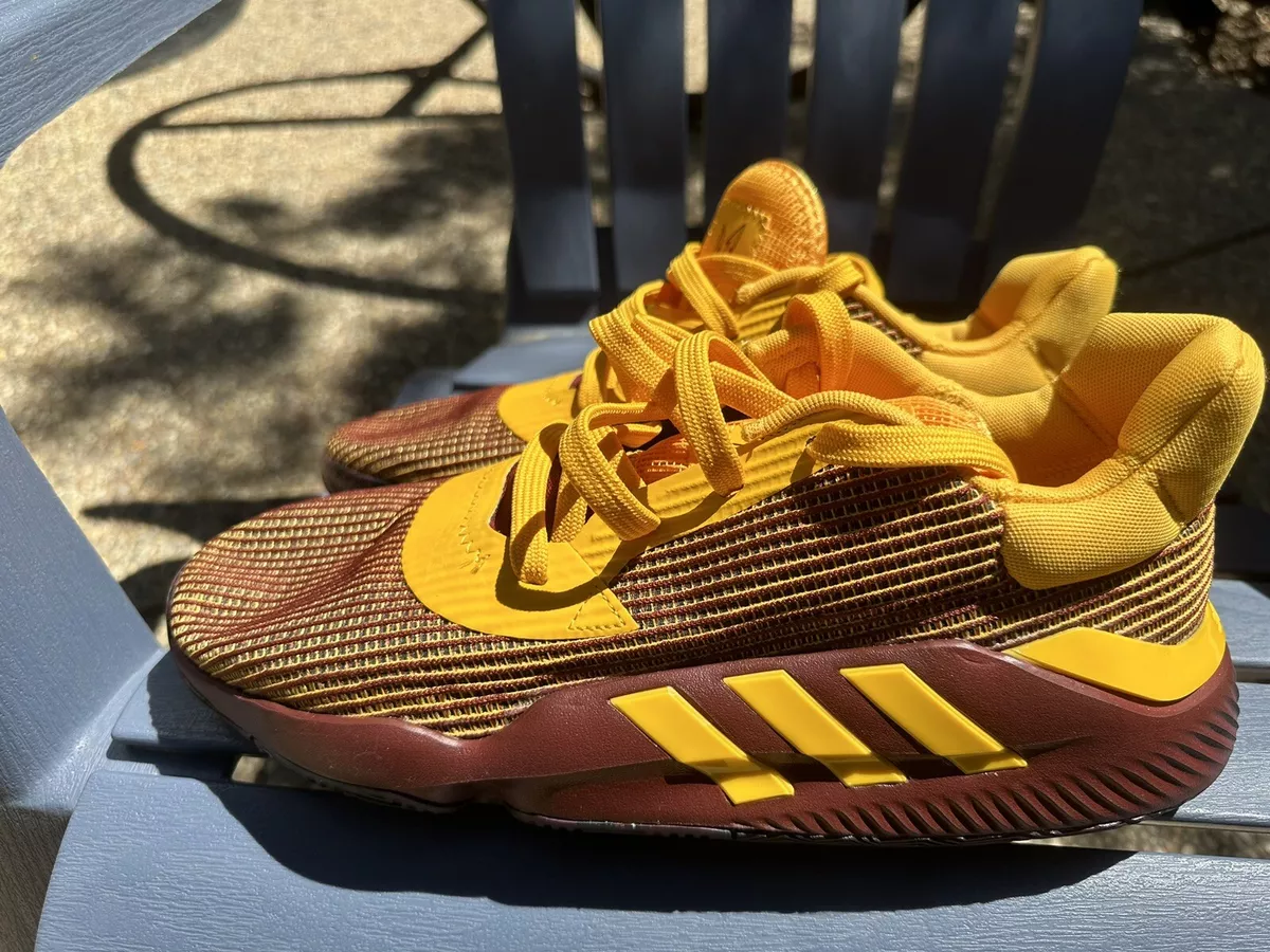 Adidas pro best sale fear