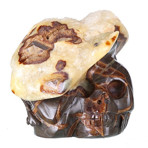 Calavera/cabeza de cristal septario geoda natural de 3,39" talla coleccionables, #0V08 - Imagen 4 de 7