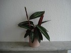 Picture 22 of 23