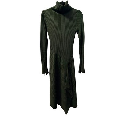 Adolfo Dominguez Midi Dress XS Dark Green Ribbed Turtleneck Heavy liquid knit