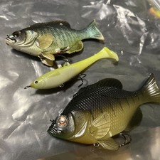 Fish Arrow Fins Gil 150 120 iid Cruise 115 Set, including items