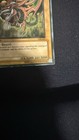 Picture 6 of 13