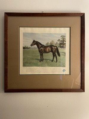 RARE Thoroughbred Racehorse ''Blue Larkspur'' Print by Franklin B Voss #253/260