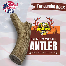 Jumbo Elk/Deer Premium Antler dog chew 1pc, Naturally shed whole antler for dogs