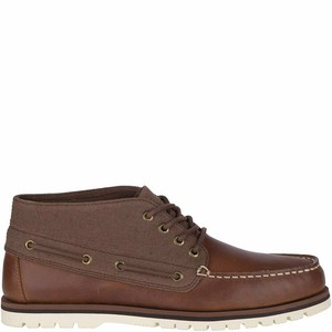 sperry leeward lug chukka