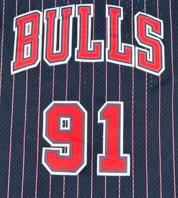 Adidas Hardwood Classics NBA Chicago Bulls #91 Dennis Rodman