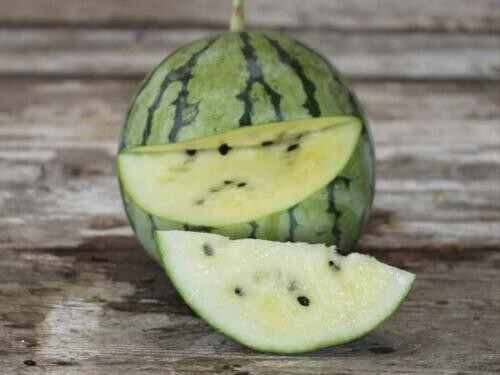 Japanese Cream Fleshed Suika Watermelon - 5+ seeds - Graines - Samen - Cl 009 - Picture 1 of 1